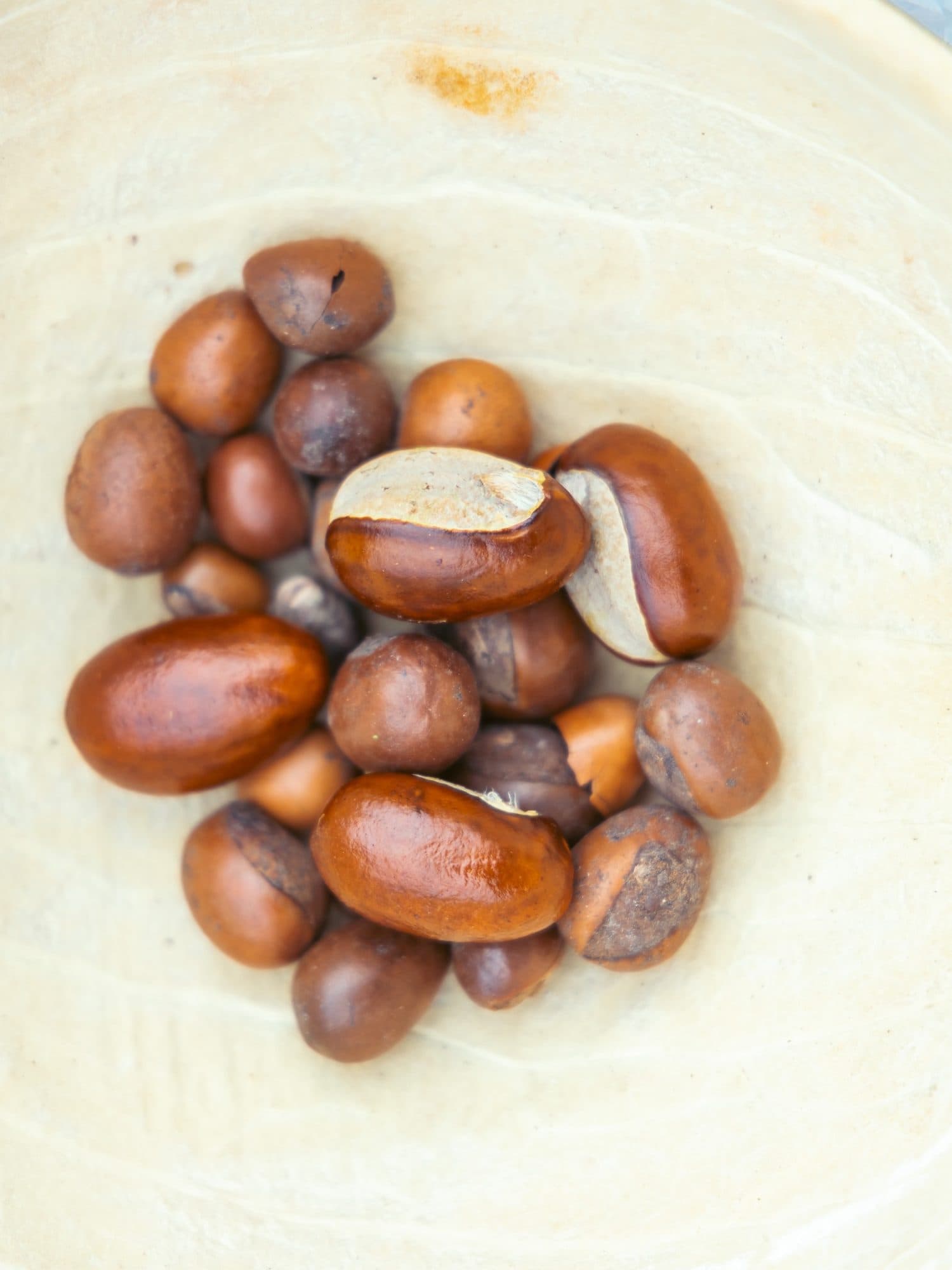 Shea-Kerne in einer Schale